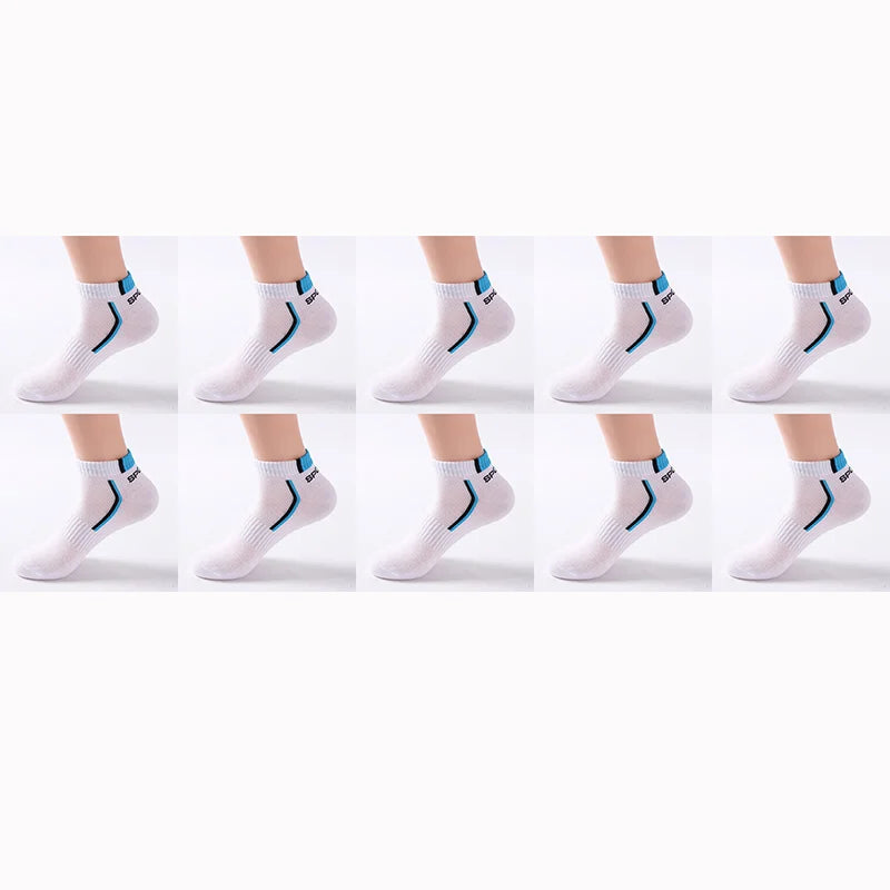 50356955316551|50356955382087|50356955414855