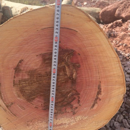 381 Chain Saw Logging Saw 3.9KW/5.3HP Woodworking Chain Saw Imported Bearing Gasoline Saw Portable Chain Saw 72.2CC