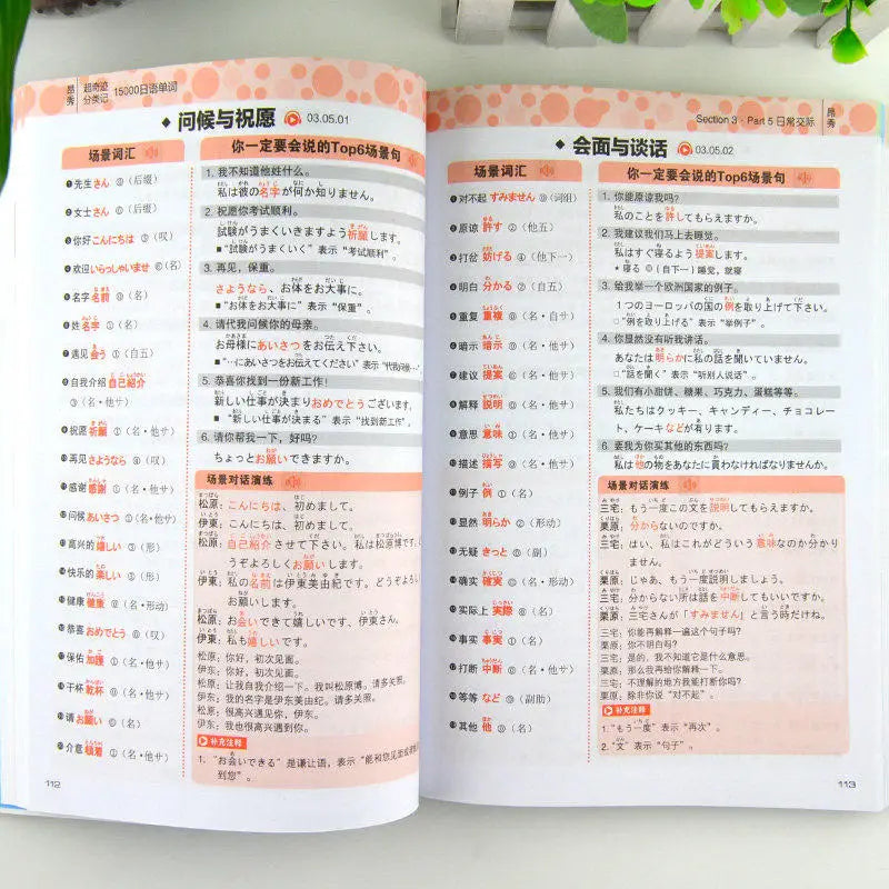 15000 Japanese Words Entry Vocabulary book Learning Japanese Word Book Zero Basic Standard Japanese Language Tutorial Book