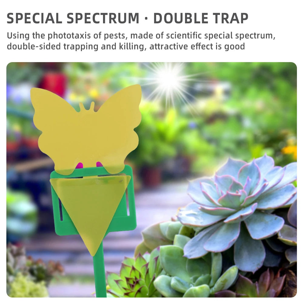 Insect Glue Catcher Paper, Pegajoso Amarelo Pegajoso Fly Trap, Moscas de frutas, Aphids Glue Catcher, 40pcs