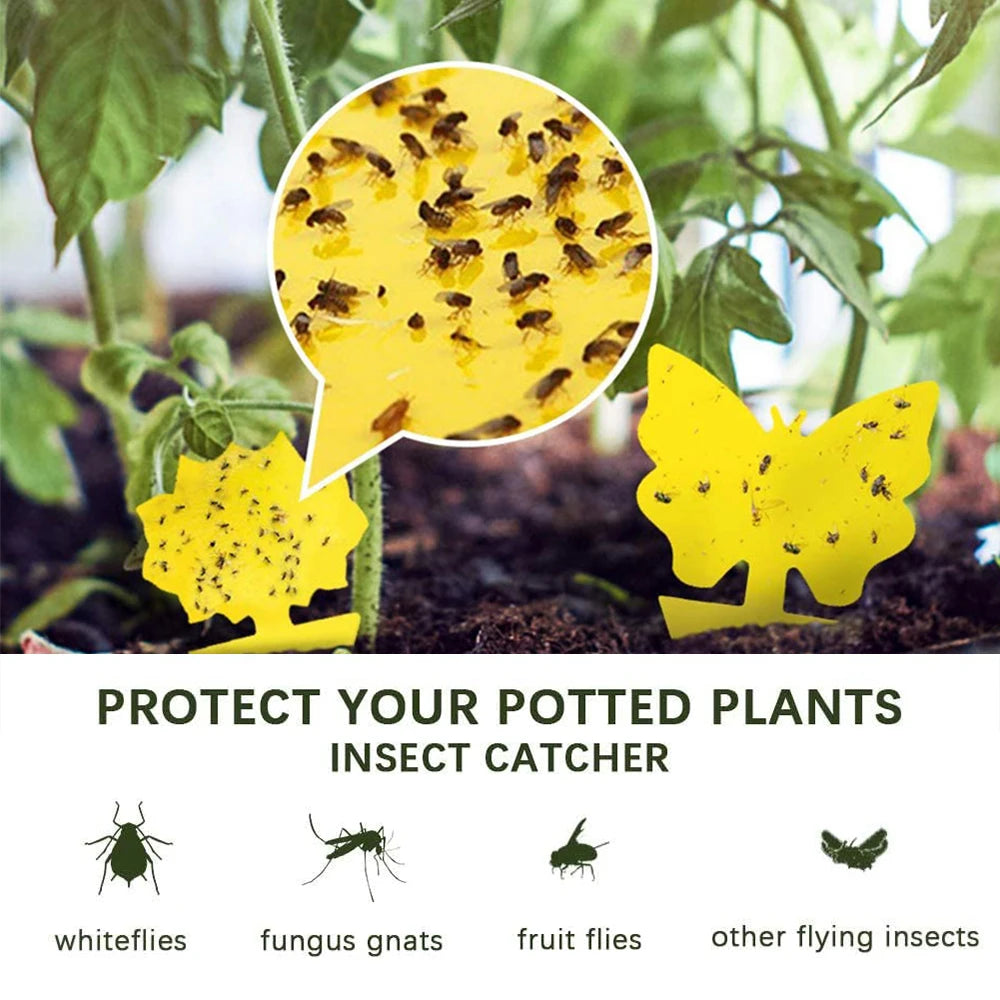 Insect Glue Catcher Paper, Pegajoso Amarelo Pegajoso Fly Trap, Moscas de frutas, Aphids Glue Catcher, 40pcs