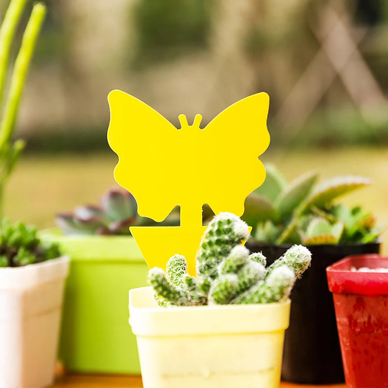 Papel adhesivo para atrapar insectos, trampa amarilla para moscas, moscas de la fruta y pulgones (40 unidades) 