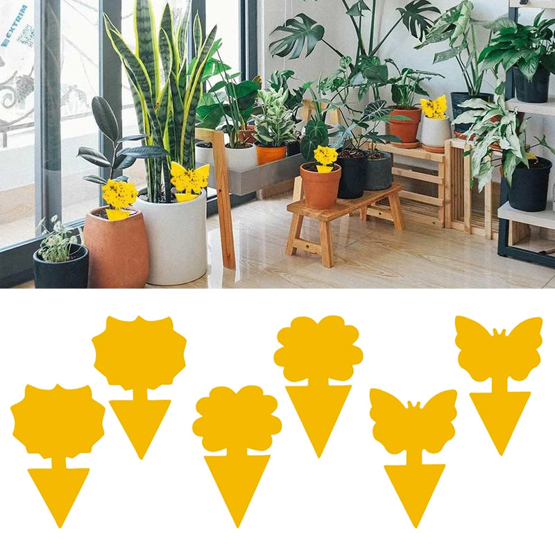 Papel adhesivo para atrapar insectos, trampa amarilla para moscas, moscas de la fruta y pulgones (40 unidades) 