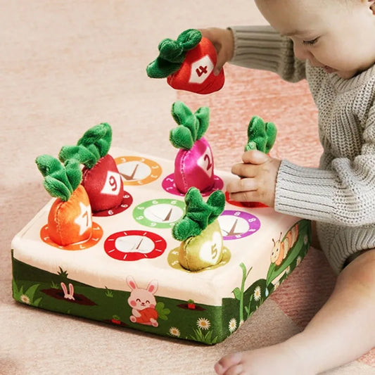 Montessori Belas Habilidades Motoras Toy Training for Babies, Color Learning, Brinquedos Educativos para Crianças, Pré-Escolar Atividade Sensorial