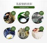 UVR High Quality 100% Natural Latex Tatami Mattress Slow Rebound Hotel Special Single Double Mattress With White Inner Cover