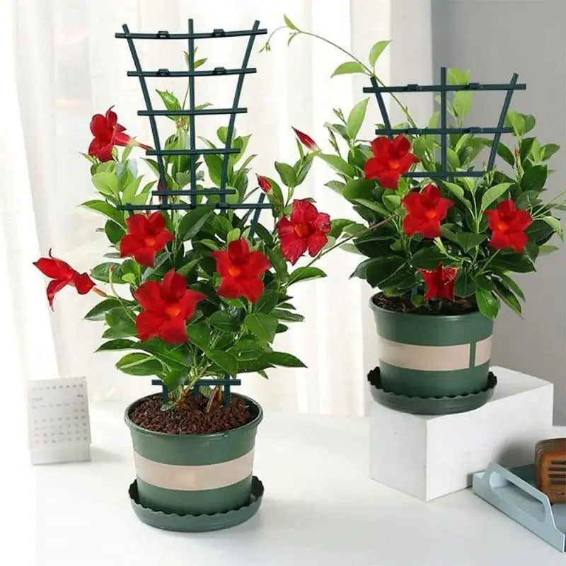 Small Indoor Stackable Plant Growing Trellis, Climbing Plant Trellis, Family Growing, 8PCs 