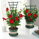 Small Indoor Stackable Plant Growing Trellis, Climbing Plant Trellis, Family Growing, 8PCs 