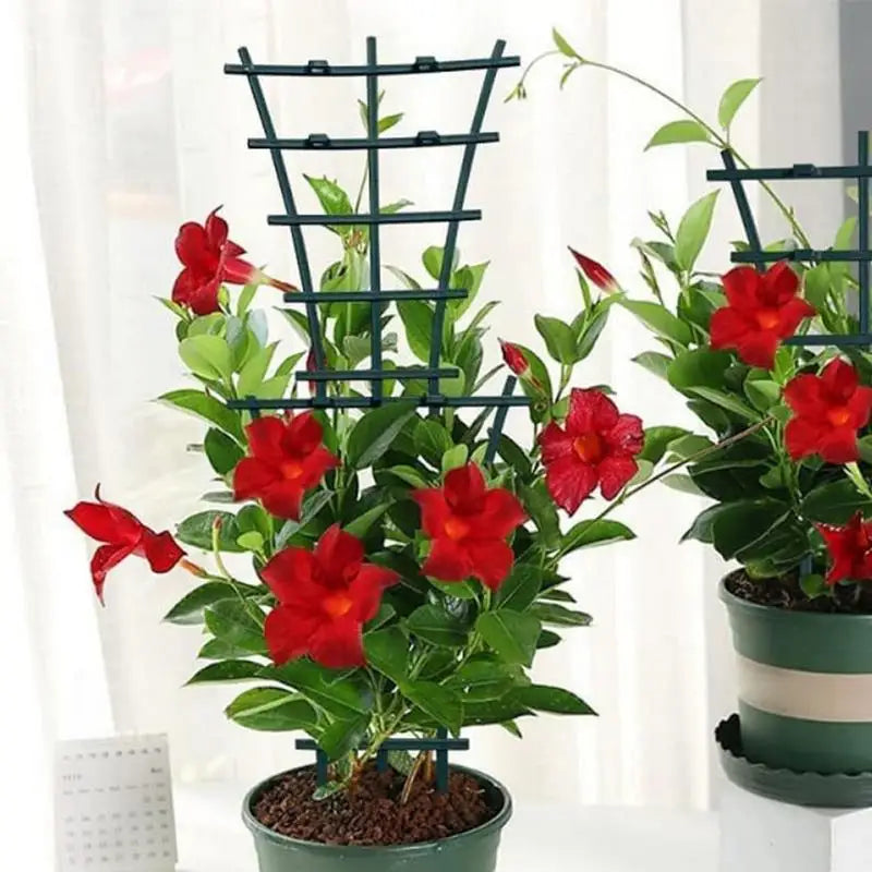 Small Indoor Stackable Plant Growing Trellis, Climbing Plant Trellis, Family Growing, 8PCs 