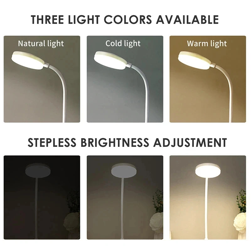 Portable LED Desk Lamp, Eye Protection, 3 Dimming Modes, Bedroom Bedside, USB Touch Charge, College Student Book, 2024 