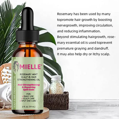 Óleo essencial para o crescimento do cabelo, tratamento nutritivo para fins divididos e orgânicos secos, cuidados capilares, nutrição, hortelã, hortelã
