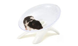 Pet Hamster Running Wheel Mute Flying Saucer Steel Axle Wheel Running Disc Toys Cage Small Animal Hamster Accessories