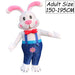 1233(Rabbit)