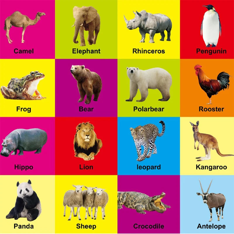 English Language and Cognitive Learning Books for 0-2 Year Olds; Ideal Early Education Children's Gifts