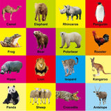 English Language and Cognitive Learning Books for 0-2 Year Olds; Ideal Early Education Children's Gifts