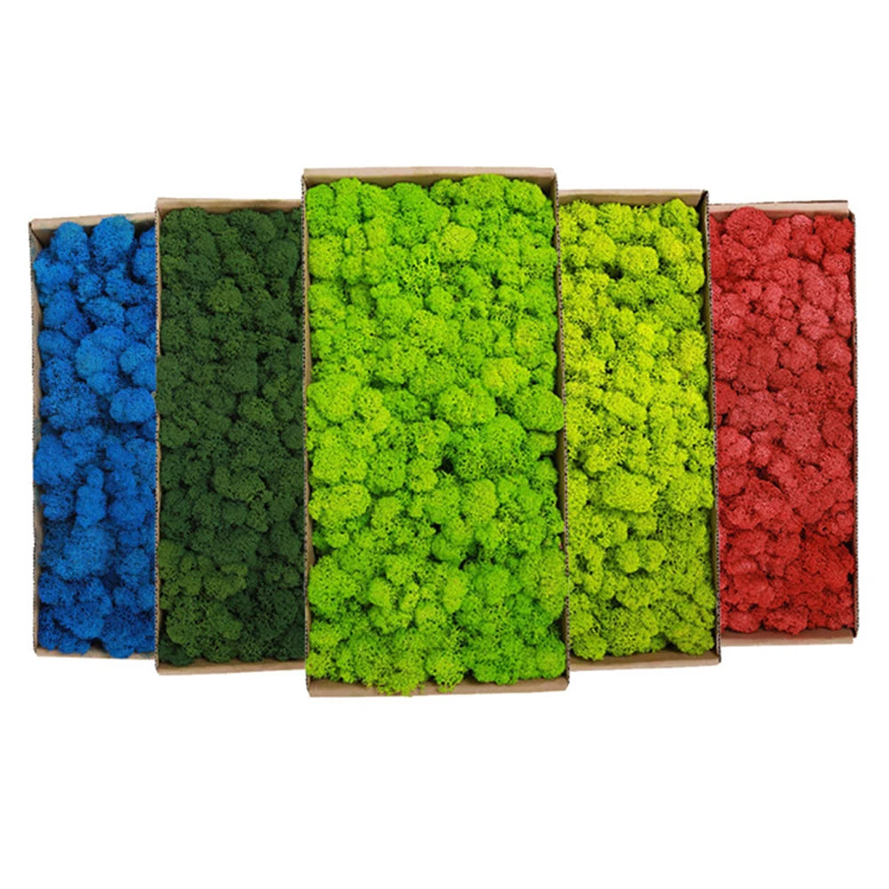 Artificial Green Plants Eternal Life Moss DIY Crafts Grass Garden Home Room Decor Mini Landscape Fake Grass 20/40/100g