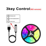 RGB LED Strip Light 5050 Bluetooth APP Control USB LED Flexible Lamp DC 5V Diode Tape for Party Living Room Festival 
