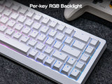 EPOMAKER HE68 Lite 65% ANSI US Layout Tray-Mounted Wired Hall Effect Magnetic Mechanical Keyboard DKS SOCD RGB Backlight