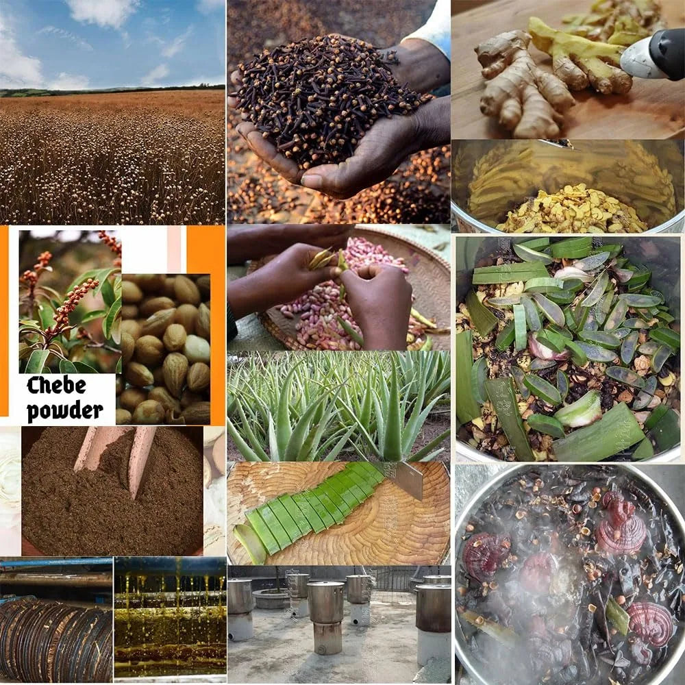 Óleo nutritivo Layden africano feito por métodos antigos Óleo de cabelo quente para fortalecimento do couro cabeludo e das raízes do cabelo