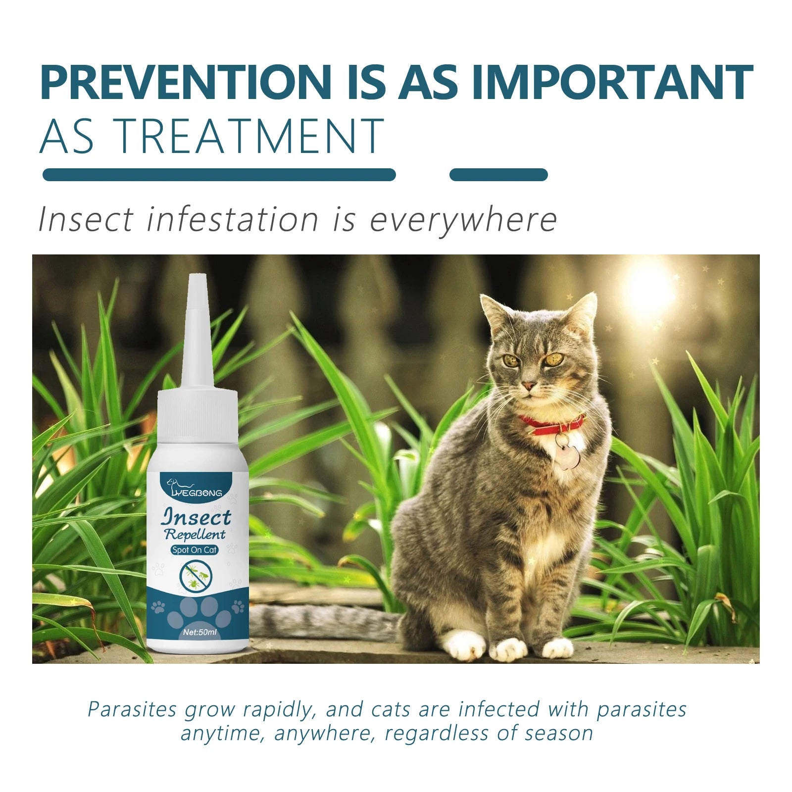 YEGBONG 50ml Flea Tick Control Liquid for Dogs Cats Fast Acting Waterproof Prevention with Gentle Plant Extracts Odorless Formul