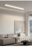 Modern Long Strip Ceiling Light Surface Mounted Minimalist Aisle Lamp Living Room Bedroom Kitchen Home Office LED Lighting