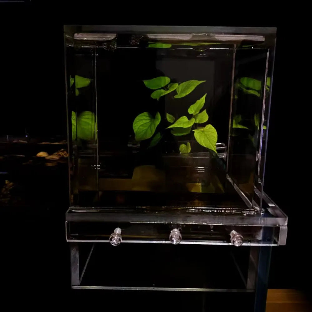Landscaping Negative Pressure Fish Tank Easy to Install Eye-catching Acrylic Suspended Fish Tank Unique