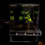 Landscaping Negative Pressure Fish Tank Easy to Install Eye-catching Acrylic Suspended Fish Tank Unique