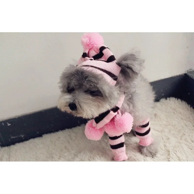 Dog Winter Wear 1 Set(hat+scarf+leg Warmers) Rainbow Stripe Knitted Dog Scarf Winter Warm Hat Footwear Sloves Pet Clothes