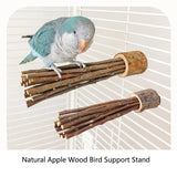 Natural Apple Tree Wood Pet Parrot Raw Wood Fork Tree Branch Stand Rack Squirrel Bird Hamster Branch Perches Chew Bite Toys