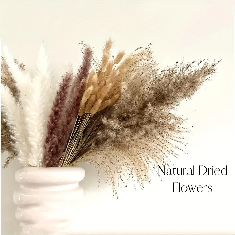 105pcs Natural Dried Flowers Pampas Floral Bouquet Boho Country Home Decoration Rabbit Tail Grass Reed Wedding Decor Arrangement