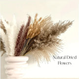 105pcs Natural Dried Flowers Pampas Floral Bouquet Boho Country Home Decoration Rabbit Tail Grass Reed Wedding Decor Arrangement