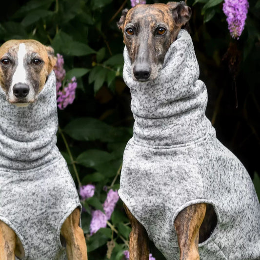 Fashion White Fleece Sleeveless Sweatershirt for Whipbit Spring Warm Jumpsuit for Italian Greyhound Mid Dogs Thick Autumn Vest