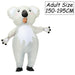 1316(Koala)
