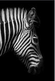 Canvas Painting Animal Wall Art Lion Elephant Hippo Zebra Poster And Modern Minimalist Photo Wall Living Room Bedroom Decoration