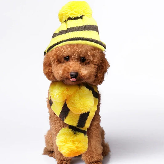Dog Winter Wear 1 Set(hat+scarf+leg Warmers) Rainbow Stripe Knitted Dog Scarf Winter Warm Hat Footwear Sloves Pet Clothes