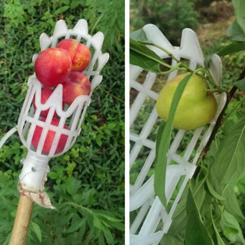 Garden Hand Tools Fruit Picker Multi-color Plastic Fruit Picking Tool Catcher Agrarische Bayberry Jujube Picking Levert