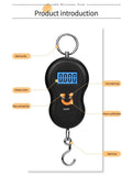 Electronic 50Kg 10g Hanging Scale LCD Kitchen Digital Scale BackLight Fishing Weights Pocket Scale Travel Luggage Scales