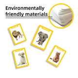 36pcs Children Cognition Cards Animal Color Fruits Double Side Flashcards Montessori Baby Kids Early Educational Toys Gifts