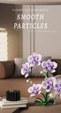 Creative Orchid Cymbidium Eternal Flowers Potted Plant Building Blocks Simulation Phalaenopsis DIY Bricks Toys Valentine's Gift