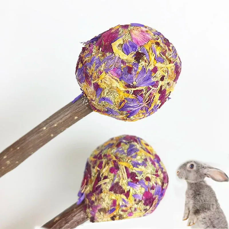9/14PCS Small Pet Toy Set Chew Toy For Rabbits Teeth Grinding Teeth Guinea Pig Apple Branches Bite Wood Teeth Grinding Snacks