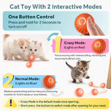 Pet Gravity Smart Dog Toy Ball Interactive Pet Toy Moving Ball Shell USB Automatic Jumping for Puppy Birthday Gift Cat Product 