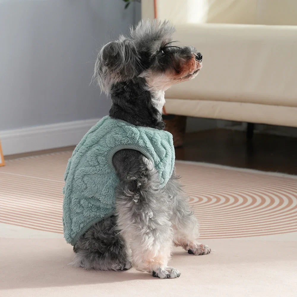 Autumn Winter Pet Cat Clothes Soft Fleece Vest Sweater For Small Dogs Cute Puppy Kitten Pullover Jacket Sphynx Cats Costumes