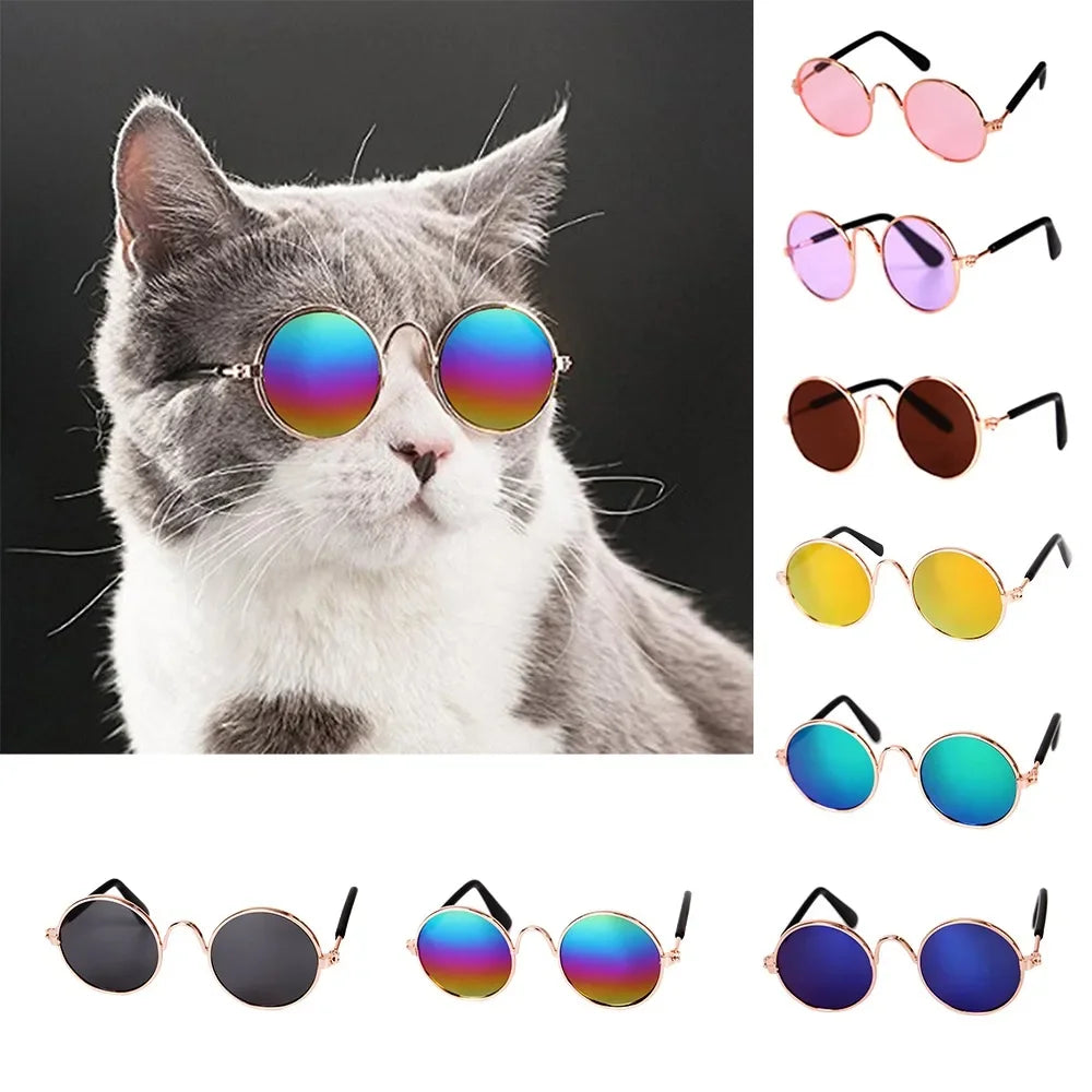 Handsome Pet Eye-Wear Sunglasses for Small Dog and Cat, Photos Props Accessories Best Selling Products Sunglasses