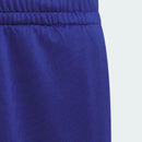 Adidas 2025 Men's PRO BLOCK SHORT Knitted Shorts IX1839