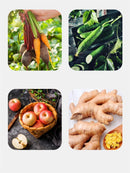 Stainless Steel Peelers & Zesters Multifunctional Vegetable Fruits Peeler Potato Carrot Grater Cutter Household Kitchen Gadgets