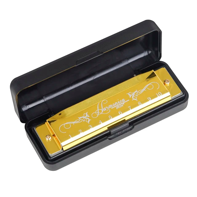 Armónica profesional con estuche para principiantes, 10 agujeros, 20 tonos, color, tono C, armónicas Hohner, regalo de Navidad 