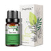 Tea tree
