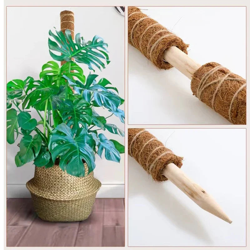 Palos de palma de coco para trepar plantas con palos Palos de palma de coco extensibles y deformables para accesorios de plantas de jardinería