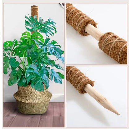 Palos de palma de coco para trepar plantas con palos Palos de palma de coco extensibles y deformables para accesorios de plantas de jardinería