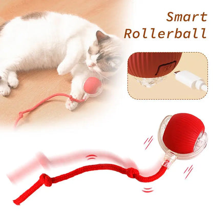 Interactive Rolling Balls for Cats, Super Drive, Bird Chewing, Movimento Ativado, Sensor, Pet, Gatinho, Teaser Game, Toy