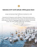 High Grade 100% White Goose Down Quilt Winter Warm Feather Duvet Queen King Cozy Lightweight 3D Bread Comforter Pinch Pleated